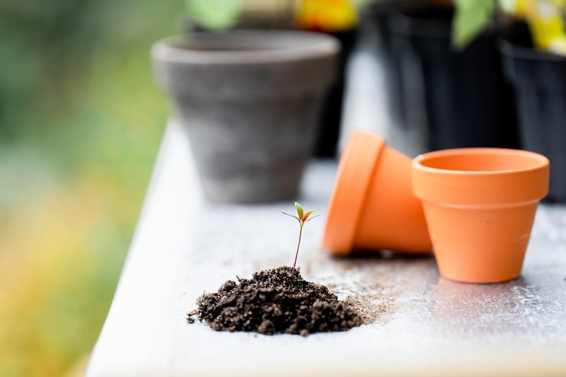 Soil and Fertilization